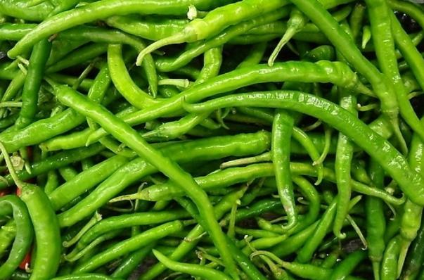 "Rủ" cả huyện trồng thứ quả "cay tận óc" để cùng giàu - 2