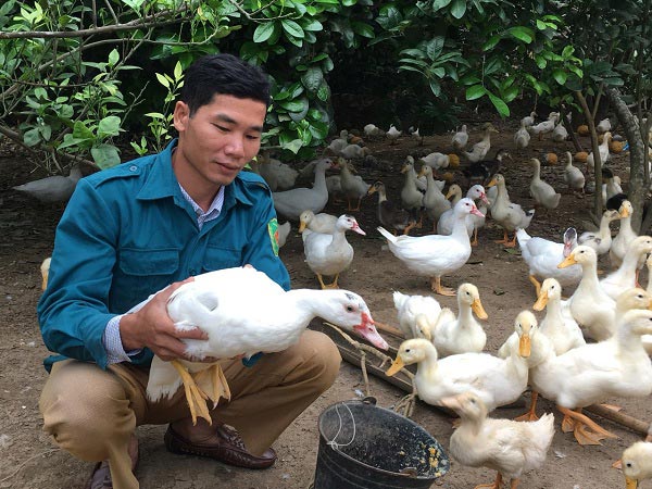 Khá giả nhờ nuôi con chạy lạch bạch, trắng toát - 4