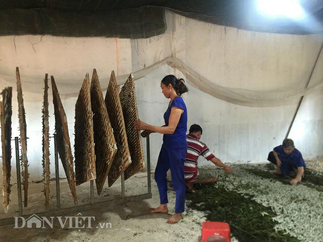 Nuôi con ăn cơm đứng, mỗi tháng thu gần 60 triệu đồng - 2