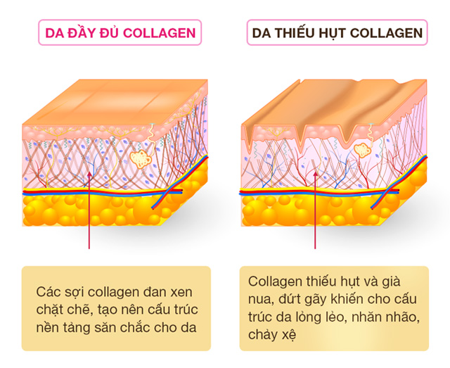 Thật đáng tiếc nếu đến giờ bạn vẫn chưa biết bí quyết trẻ hóa da này! - 1