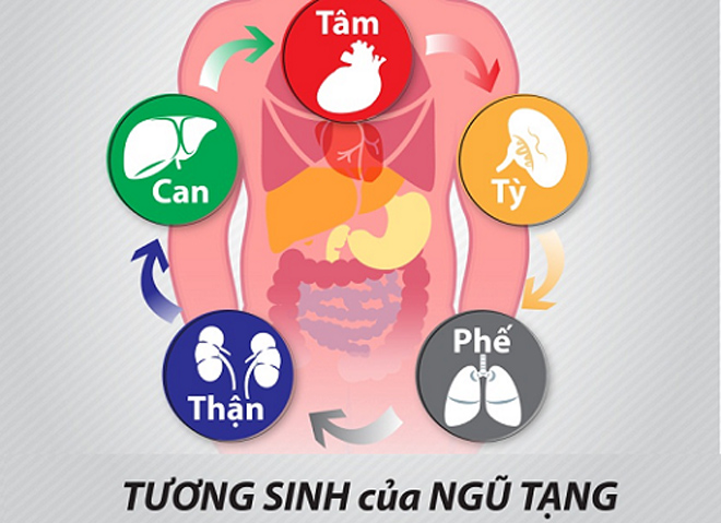 Hiệu quả của Mãnh lực Trường xuân được kiểm chứng bằng cả lý luận và thực tiễn - 1