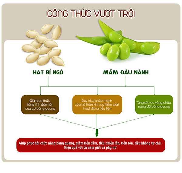 Hàn Quốc công bố nghiên cứu lâm sàng về GO-LESS giúp kiểm soát tiểu đêm, tiểu nhiều lần, tiểu són - 1