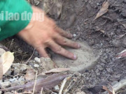 Tin tức trong ngày - Vụ hơn 300 thi thể thai nhi ở nhà máy rác: Chủ đầu tư chính thức lên tiếng