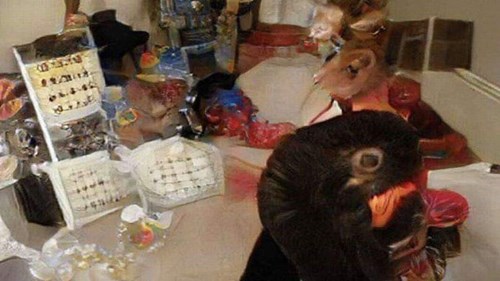 Bức ảnh bí ẩn khiến hàng nghìn người không đoán đúng chi tiết nào - 1