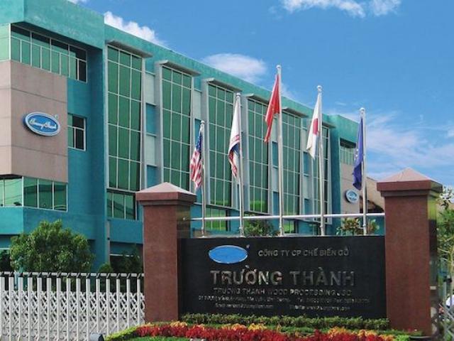 Kinh doanh - Lợi nhuận âm nghìn tỷ, vua gỗ một thời Trường Thành nếm thêm quả đắng gì?