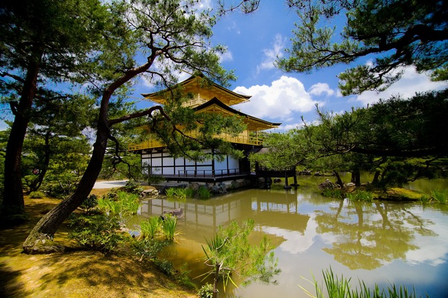 Kyoto hưng thịnh được xem như thủ đô của Nhật Bản trong suốt 1000 năm kể từ sau năm 794. Thành phố có 13 đền chùa, 3 điện thờ và thành Nijo đều được công nhận là di sản văn hóa thế giới.