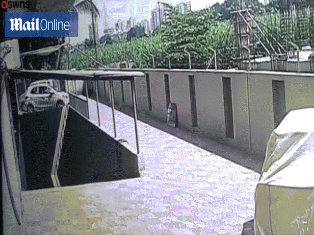 Thế giới - Video: Bé gái Ấn Độ rơi từ tầng 12 xuống đất, gặp "cứu tinh" ở tầng cuối
