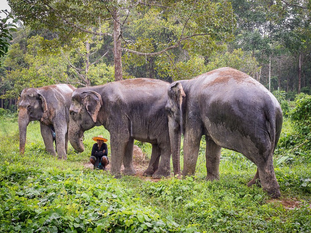 10 địa điểm cực thú vị không thể bỏ qua khi đến Phuket Thái Lan - 9