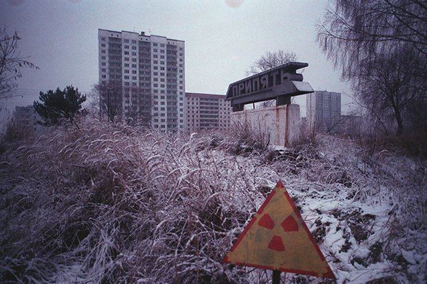 Sau 33 năm, điều kỳ lạ đang diễn ra tại vùng thảm họa hạt nhân Chernobyl - 1