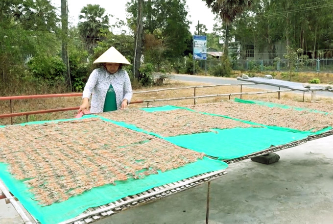 Dàn “vũ nữ chân dài” - đặc sản An Giang &#34;đốn tim&#34; dân nhậu miền Tây - 6
