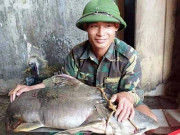 Tin tức trong ngày - Đi thả câu bắt được cá ghé hiếm thấy nặng 22kg