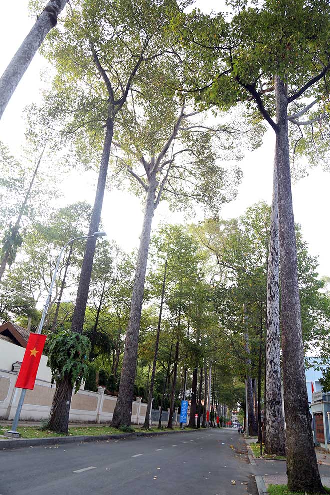 Người dân “rủ nhau đi trốn”, đường phố Sài Gòn yên bình, thông thoáng đến lạ - 6