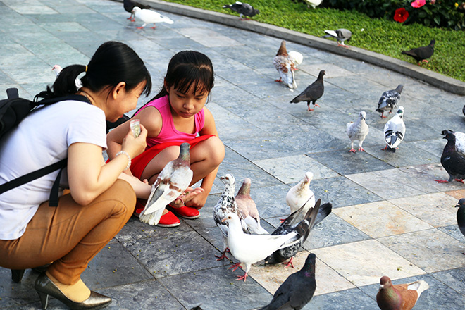 Người dân “rủ nhau đi trốn”, đường phố Sài Gòn yên bình, thông thoáng đến lạ - 13