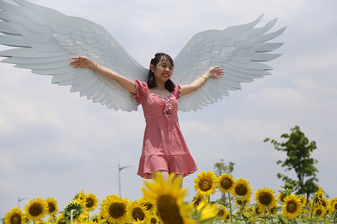 Nóng "thở ra lửa", hàng trăm người vẫn đội nắng check-in cánh đồng hoa ở Sài Gòn - 4