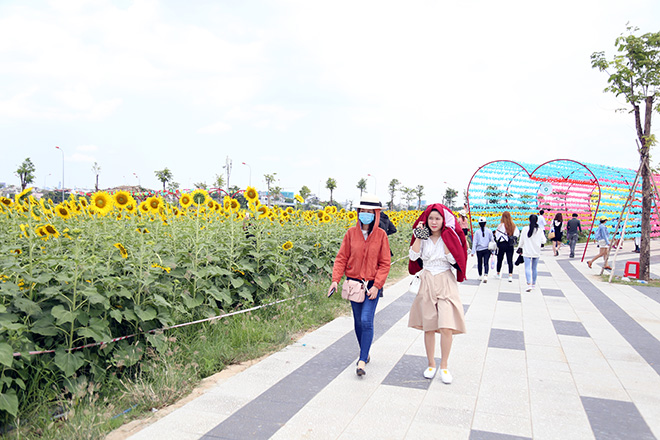 Nóng "thở ra lửa", hàng trăm người vẫn đội nắng check-in cánh đồng hoa ở Sài Gòn - 1