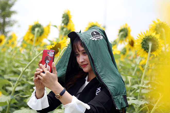 Nóng "thở ra lửa", hàng trăm người vẫn đội nắng check-in cánh đồng hoa ở Sài Gòn - 8