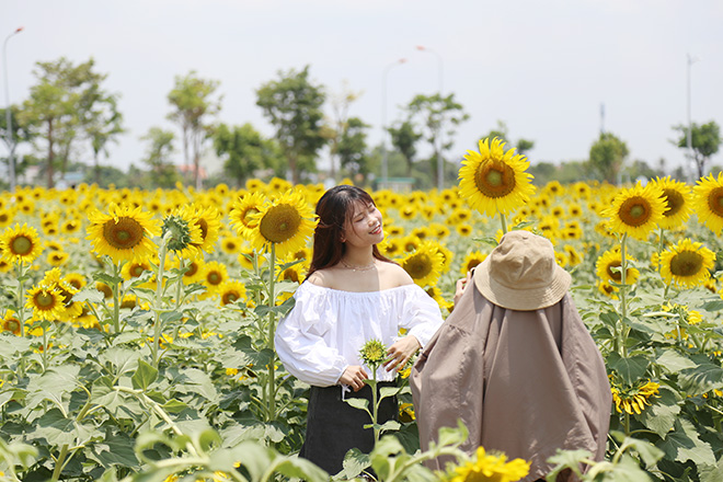 Nóng "thở ra lửa", hàng trăm người vẫn đội nắng check-in cánh đồng hoa ở Sài Gòn - 11