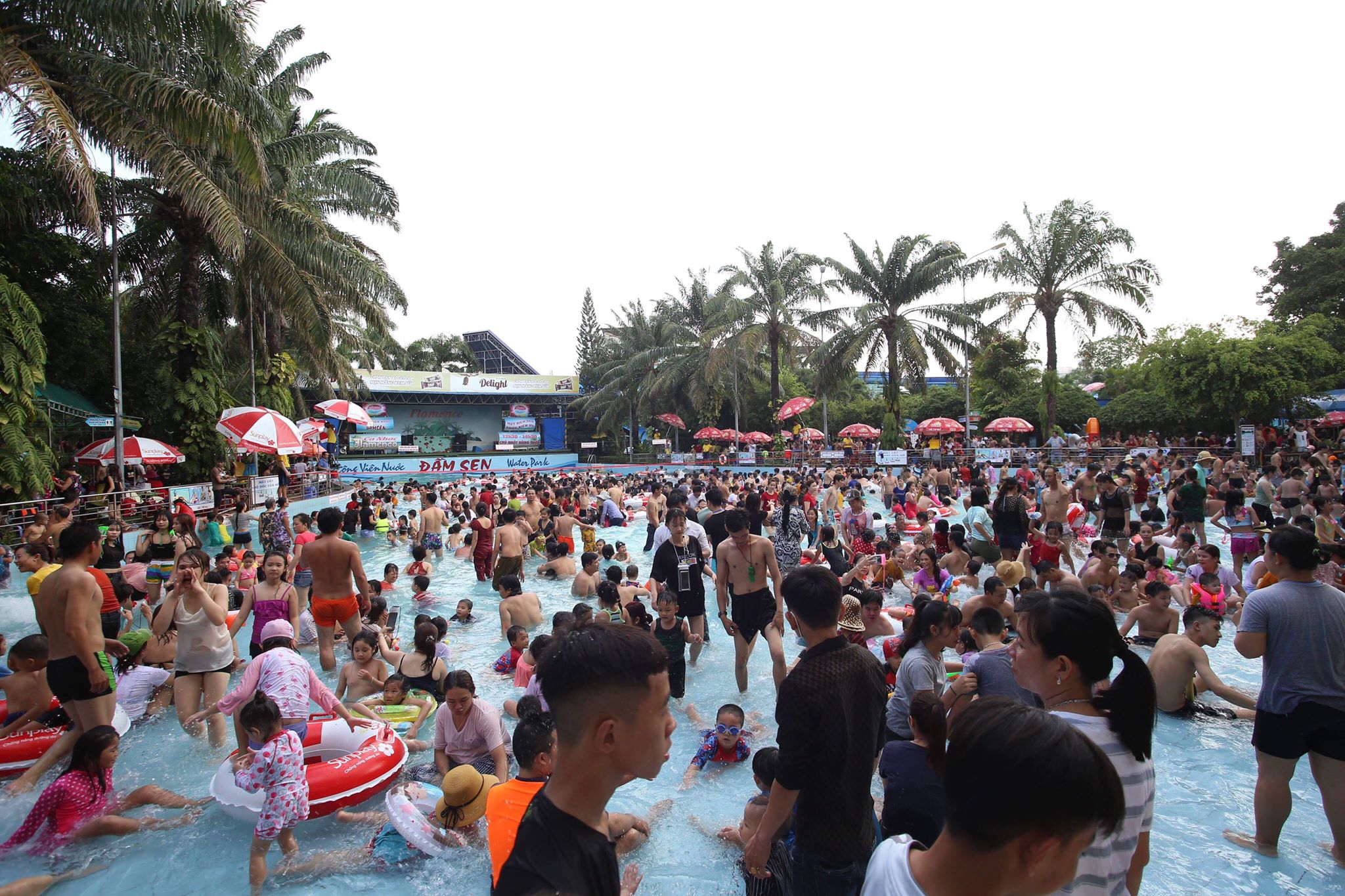 Nóng "thở ra lửa", hàng trăm người vẫn đội nắng check-in cánh đồng hoa ở Sài Gòn - 14