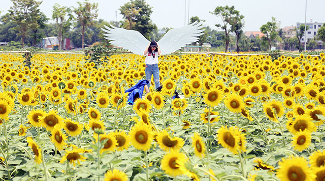 Nóng "thở ra lửa", hàng trăm người vẫn đội nắng check-in cánh đồng hoa ở Sài Gòn - 12