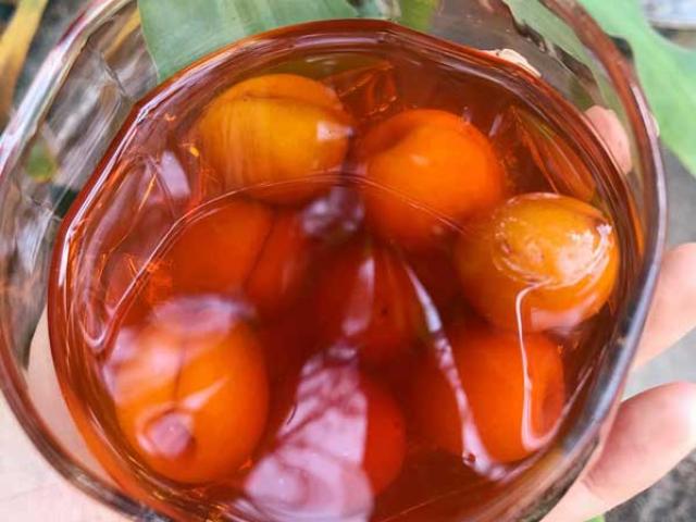 Ẩm thực - Hướng dẫn cách làm rượu mơ đơn giản và chi tiết nhất