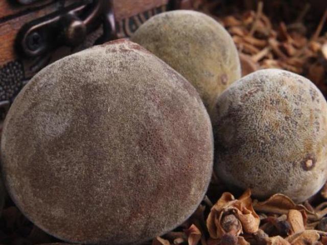 Thị trường - Tiêu dùng - Quả để "mốc meo" đem bán với giá hơn 200 nghìn/quả mà vẫn đắt hàng