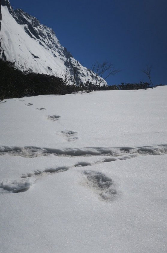 Quân đội Ấn Độ phát hiện bằng chứng rõ ràng nhất về người tuyết Yeti? - 2
