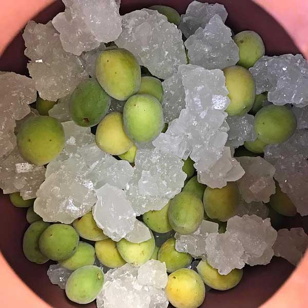 Hướng dẫn cách làm rượu mơ đơn giản và chi tiết nhất - 5