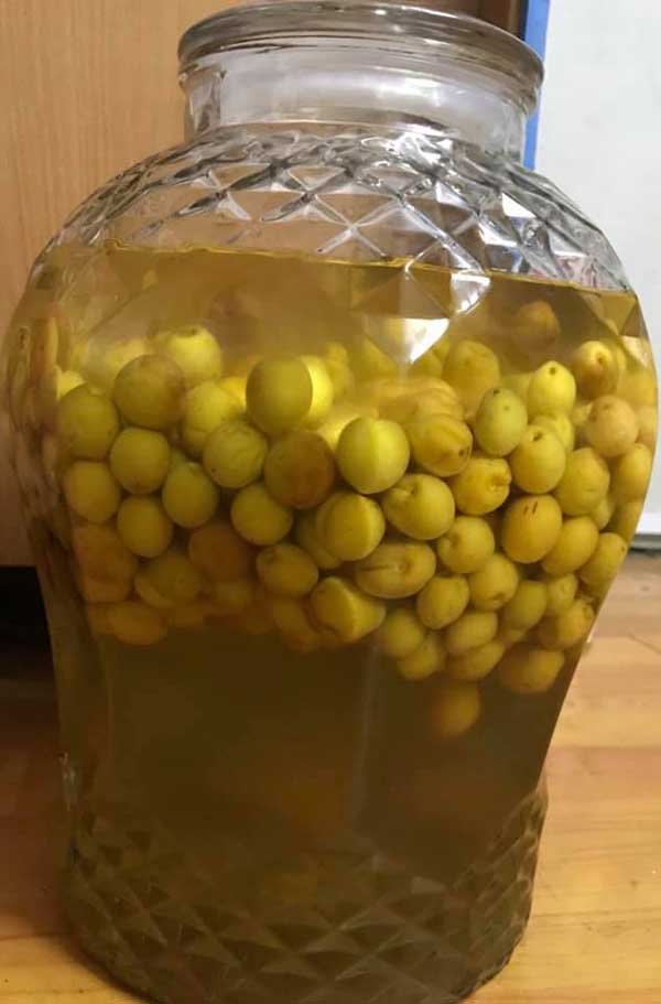 Hướng dẫn cách làm rượu mơ đơn giản và chi tiết nhất - 6