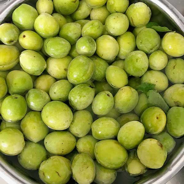 Hướng dẫn cách làm rượu mơ đơn giản và chi tiết nhất - 7