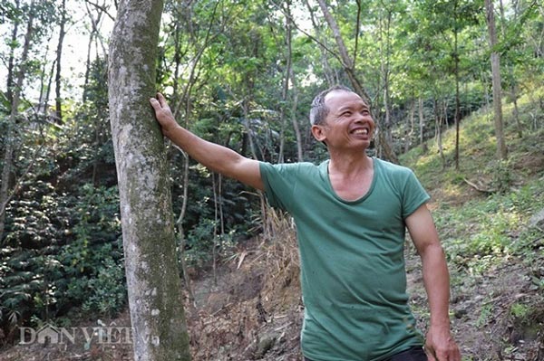 Ồ à “kho báu” sưa đỏ có một không hai của lão nông miền sơn cước - 5