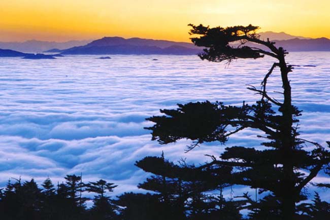3.Núi EmeiLà một trong số ít di sản thế giới cho cả di sản văn hóa và tự nhiên, núi Emei là một sự kết hợp đầy mê hoặc của rừng và tu viện. Nơi này là một trong tứ đại Phật giáo ở Trung Quốc và là thiên đường động thực vật và bảo tàng địa chất. 