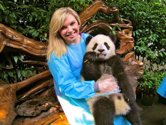4. Cơ sở nghiên cứu nhân giống gấu trúc khổng lồ

Nằm cách trung tâm thành phố Thành Đô chỉ 10km, Panda Base là bảo tàng duy nhất trên thế giới tập trung hoàn toàn vào những con gấu trúc khổng lồ đang bị đe dọa tuyệt chủng.