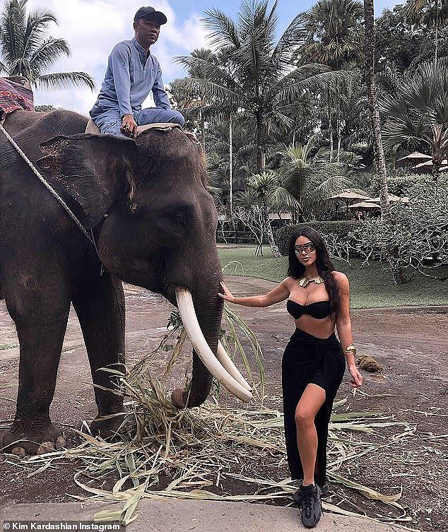 Kim "siêu vòng 3" gây bức xúc vì... mặc mát mẻ cưỡi voi - 3