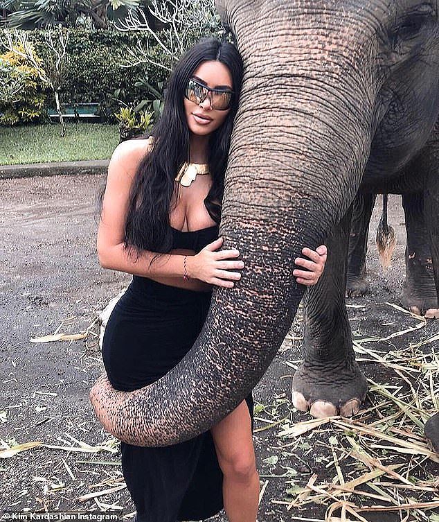 Kim "siêu vòng 3" gây bức xúc vì... mặc mát mẻ cưỡi voi - 2