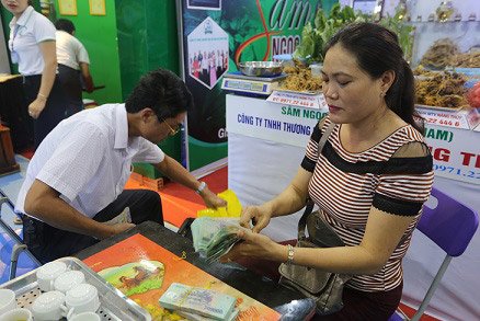 Quảng Nam: 2 gian hàng bán đến 4 tỷ tiền sâm Ngọc Linh - 3