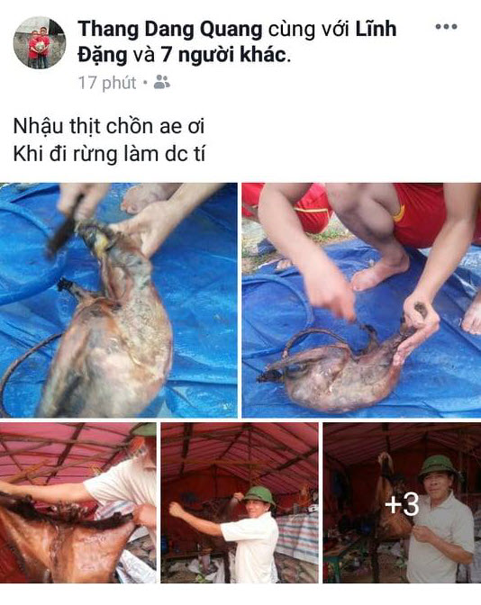 Truy tìm chủ nhân đăng ảnh giết thịt chồn bay trong sách đỏ &#34;khoe&#34; trên facebook - 1