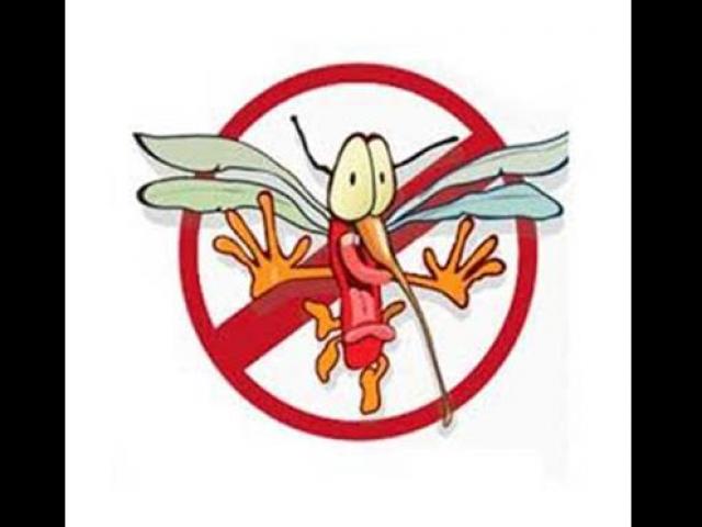 Thị trường - Tiêu dùng - 99% người dùng mù mờ về giá cả những loại sản phẩm đuổi muỗi siêu hiệu quả này