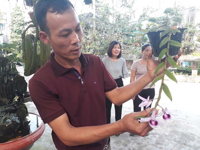 Lạ Thái Nguyên: Vườn lan nhiều loại siêu độc, giá cả chục triệu 1cm - 1