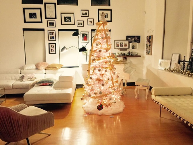 15 năm sau scandal chấn động, Hồng Nhung giàu có cỡ nào ở Mỹ? - 1