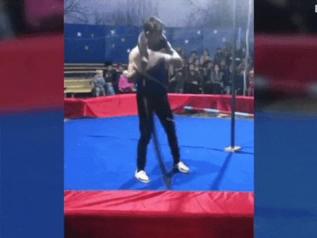 Media - Diễn viên xiếc bị trăn "khủng" siết cổ ngã gục ngay trên sân khấu