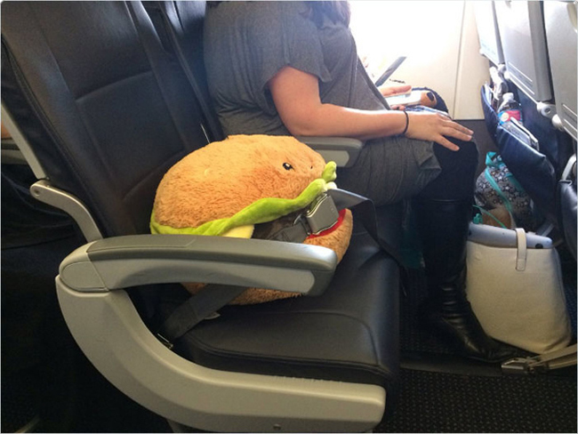 Vị khách đặc biệt được có hẳn một ghế riêng trên chuyến bay.