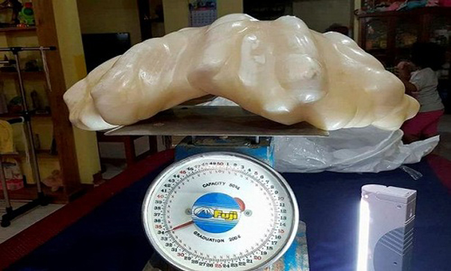 Khối đá màu trắng siêu “khủng” này thực chất chính là một viên ngọc trai khổng lồ, nặng tới 34kg. Giá trị của nó có thể lên tới 100 triệu USD &#40;2.315 tỷ đồng&#41;.