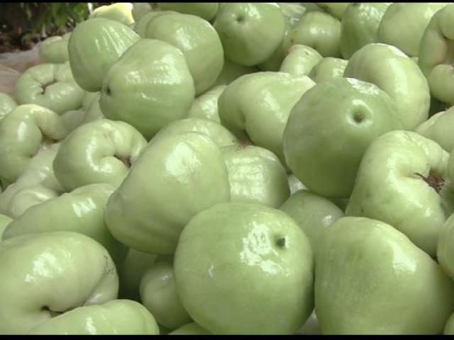 Thị trường - Tiêu dùng - Mặt hàng nào có đầy ở Việt Nam nhưng lại "đẻ ra tiền" ở Trung Quốc?