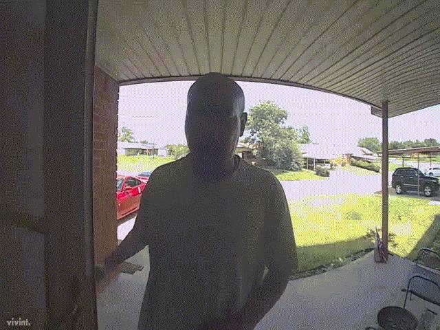 Thế giới - Rắn lao xuống từ trên cửa, đớp trúng mắt người đàn ông Mỹ