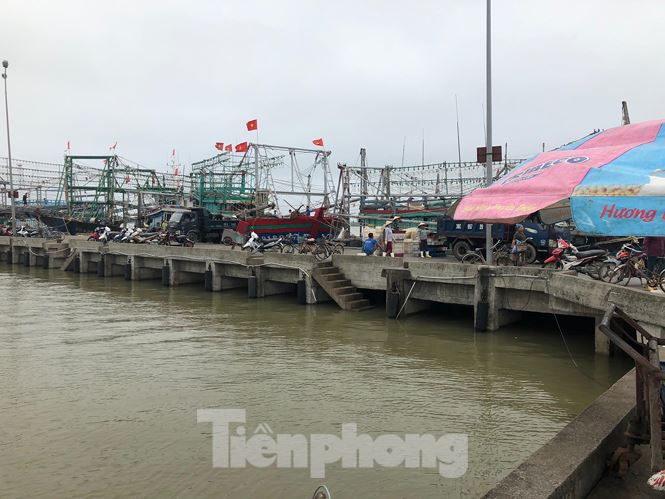 Nóng 24h qua: Cá "khủng" bị xẻ thịt ở Thanh Hóa không ai mua - 1