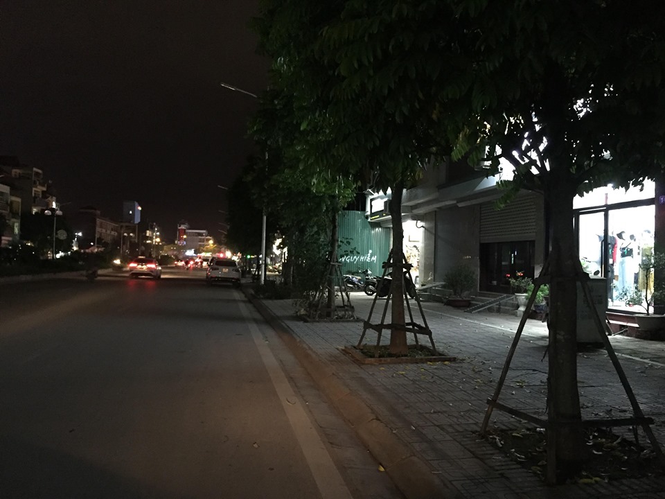 Hàng trăm cây sấu ở Hà Nội bị chuyển đi trong đêm - 1