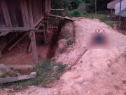 Pháp luật - Người phụ nữ chết trong tình trạng bán khoả thân: Tiết lộ bất ngờ về nghi phạm
