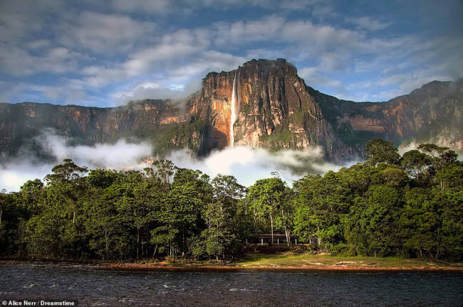 Thác Angel, Venezuela: Đây là thác nước cao nhất trên thế giới, chảy từ đỉnh núi Auyán Tepui ở vùng cao nguyên Guiana. Ngọn núi này có hệ sinh thái rất đa dạng bao gồm 25 loài động vật lưỡng cư và bò sát đặc hữu.