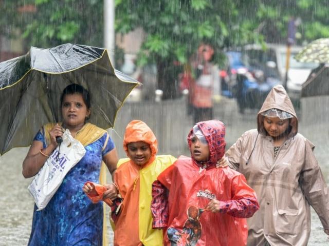 Thế giới - Phát hiện virus khổng lồ bên dưới thành phố Ấn Độ, biết chép gene của vật chủ