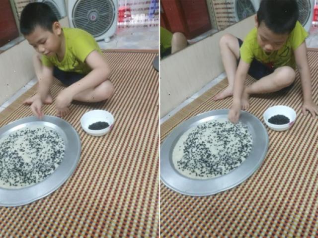 Bạn trẻ - Cuộc sống - Clip: Cậu bé ngồi nhặt gạo trộn đỗ đen "gây sốt" mạng